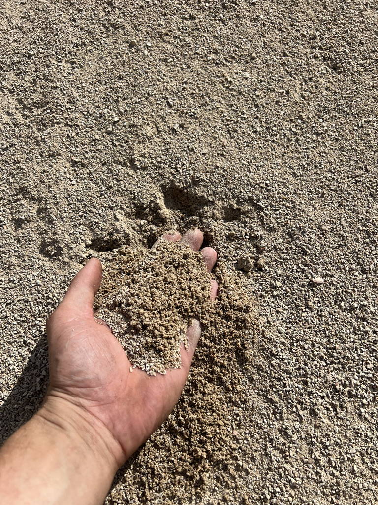 Grants piegāde Rīgā