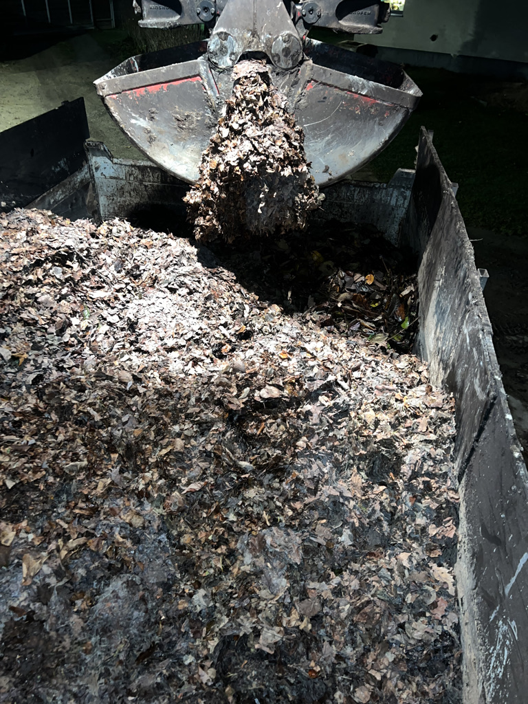 Teritorijas sakopšana