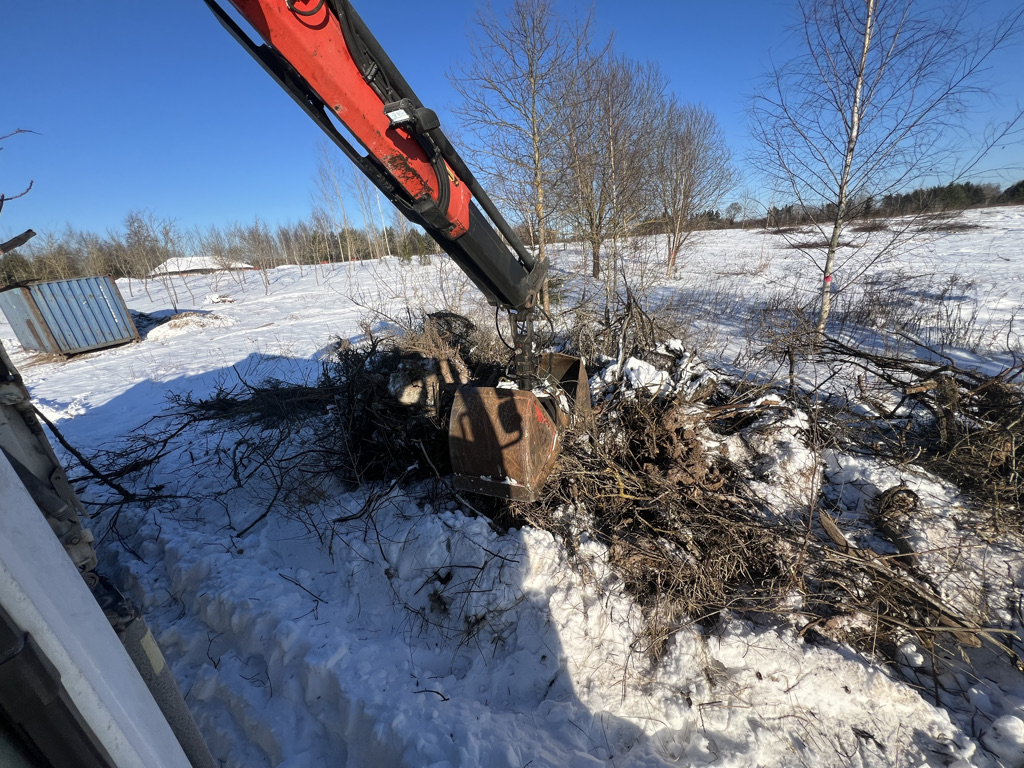 Zaru izzāģēšana un izvešana